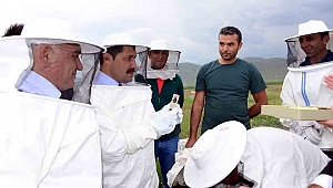 Kafkas Arı Konağı projesi hayata geçiyor