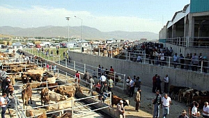Karantina kaldırıldı