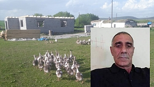 Kaz ölümleri tedirgin etti!