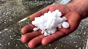 Ardahan'da dolu yağışı etkili oldu