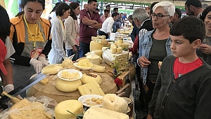 Kars'ta Anadolu Peynirleri Buluştu