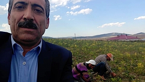 HER ŞEY KIZ ÇOCUKLARININ OKUMASI İÇİN