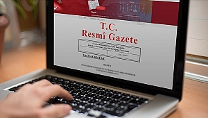 SESSİZCE GELDİLER,  SESSİZ GİTTİLER