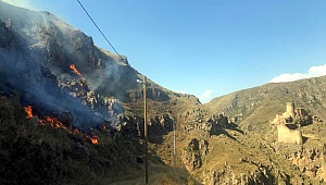 ŞEYTAN YANIYOR