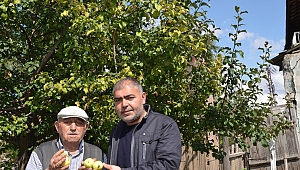 Ardahan’da her şey yetişiyor