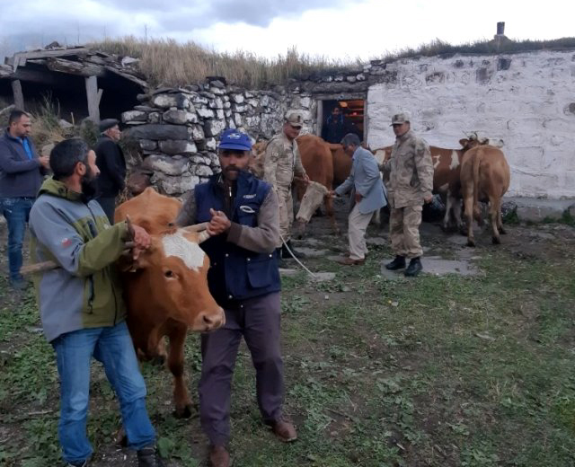 Kars’ta çaldı, Ardahan’da yakalandı