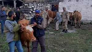 Kars’ta çaldı, Ardahan’da yakalandı