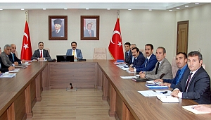 Şimdi proje zamanı