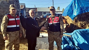 Soruşturma başlatıldı