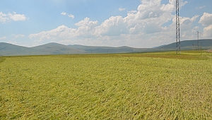 SÜRE UZATILDI
