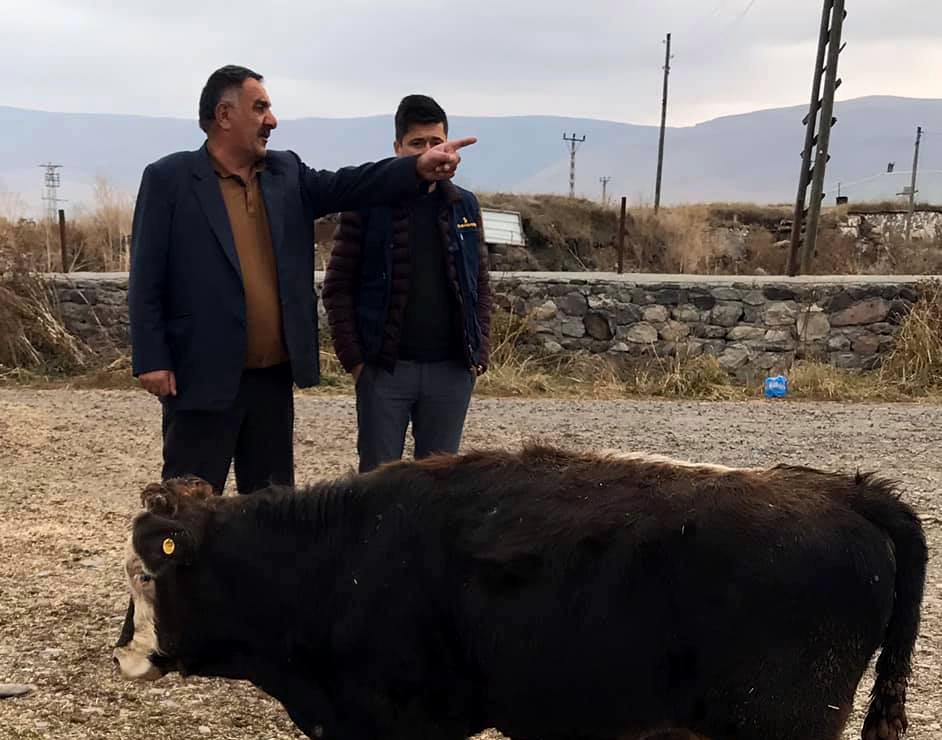 AMCA, YEĞENİ TARAFINDAN ÖLDÜRÜLDÜ