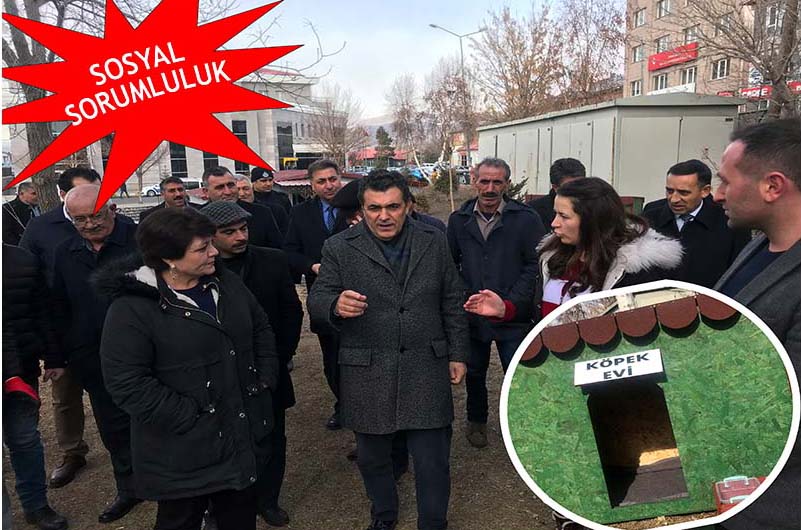 BELEDİYEDEN SOKAK HAYVANLARINA SICAK YUVA
