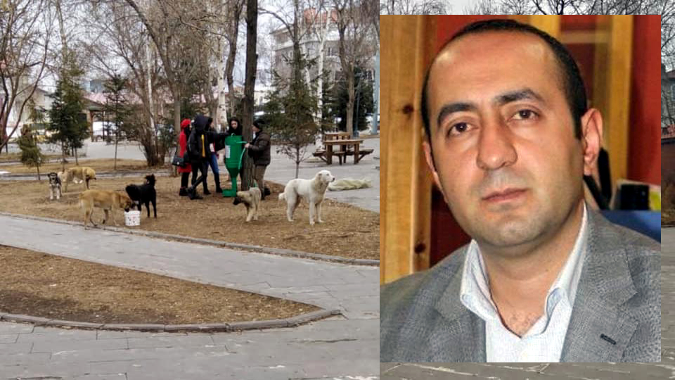 AKSOY’DAN BELEDİYEYE BARINAK VE KÖPEK UYARISI