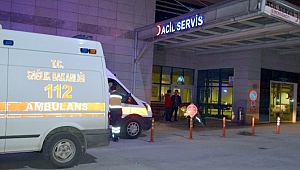 Covid-19,  Ardahan'da 2 can aldı