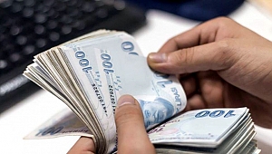 DESTEK ÖDEMELERİ HAFTAYA BAŞLIYOR