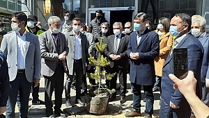 SARIÇAM SEVİNCİ, MESAFE DİNLEMEDİ