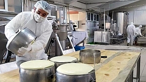 Kaşar üretimi Ramazan'da iki kat arttı