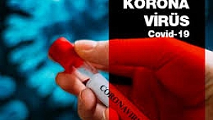 KORONA ÇILDIR'DI