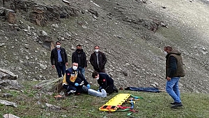 Kurt sürüsünden kaçtı, ölümden döndü