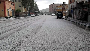 Göle'de dolu yağışı