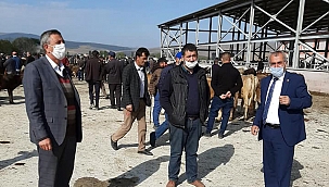 CHP’LİLER, HAYVAN PAZARINI BİZ AÇTIK