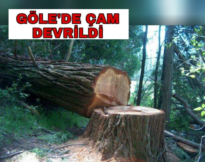 GÖLE’DE 2 KAZA 2 ÖLÜ