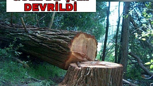 GÖLE’DE 2 KAZA 2 ÖLÜ