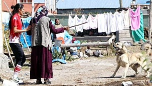 Olimpiyat yolunda koşarken köpeklerden annesi koruyor