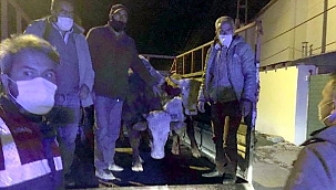 ÇALINAN 5 BÜYÜKBAŞ, KARS’TA BULUNDU