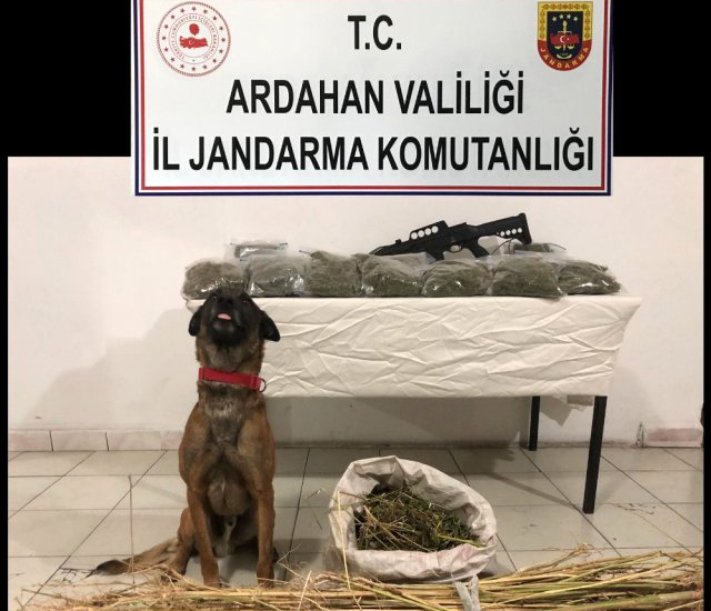 EVDEKİ ESRARI NARKOTİK KÖPEK BULDU