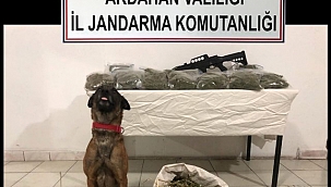 EVDEKİ ESRARI NARKOTİK KÖPEK BULDU