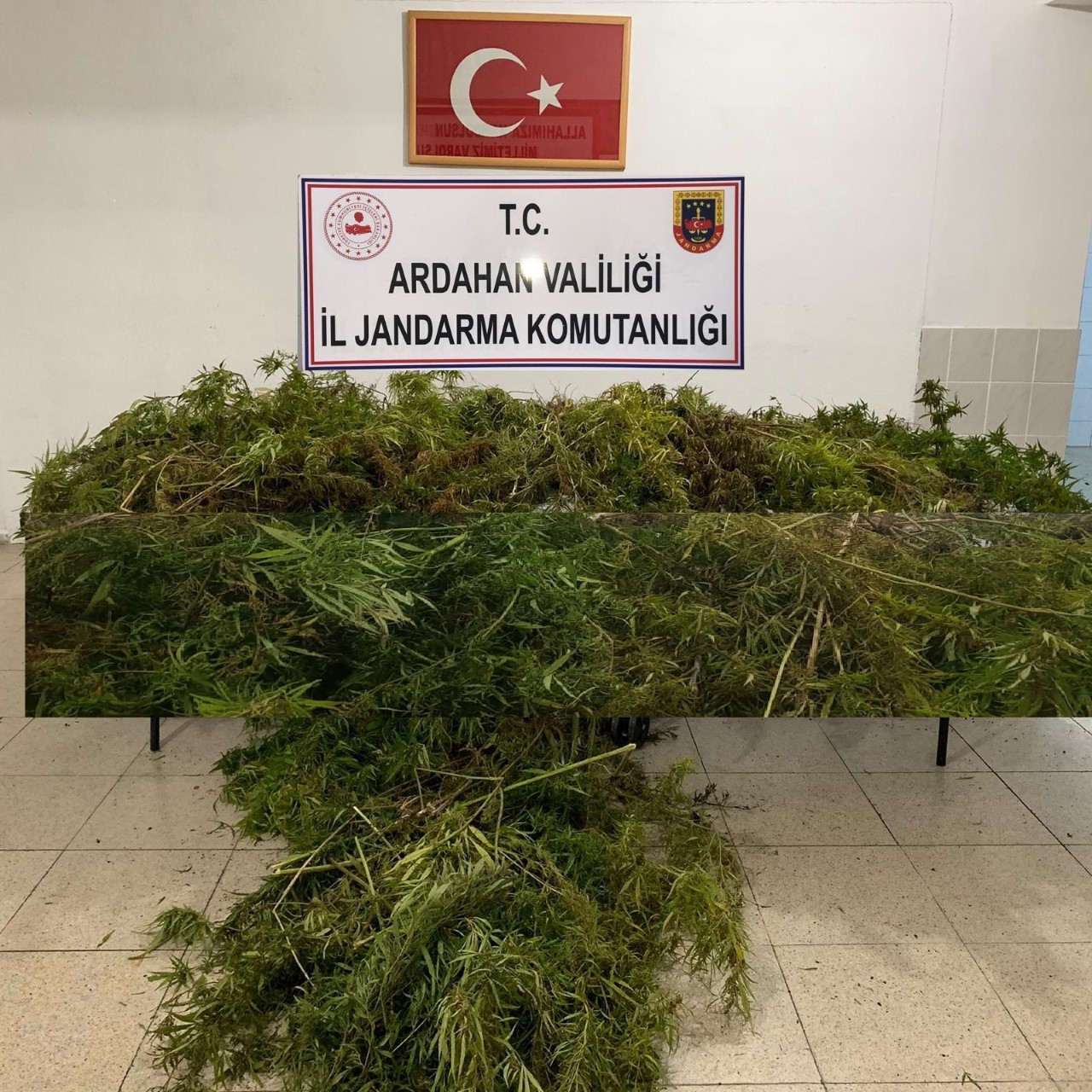 POSOF’TA KENEVİR OPERASYONU