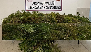 POSOF’TA KENEVİR OPERASYONU