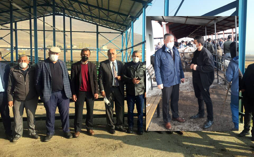 ÇILDIR VE HANAK HAYVAN PAZARI AÇILDI