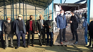 ÇILDIR VE HANAK HAYVAN PAZARI AÇILDI