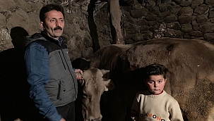 ARDAHAN’DA KORKUNÇ HAYVAN ÖLÜMLERİ