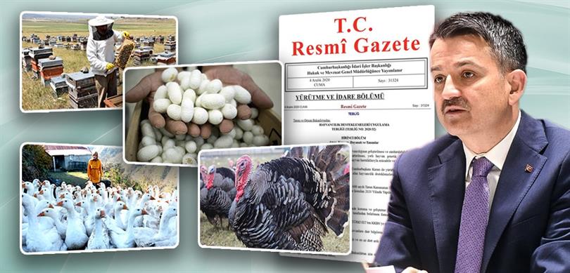 ARICILIĞA %50, KAZ VE HİNDİYE %75 HİBE DESTEĞİ