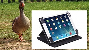 KAZ ALMAYIN TABLET GÖNDERİN