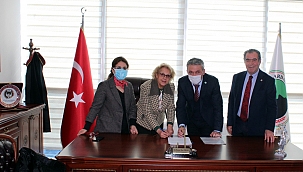 CHP, KADINA YÖNELİK ŞİDDET HATTI KURDU