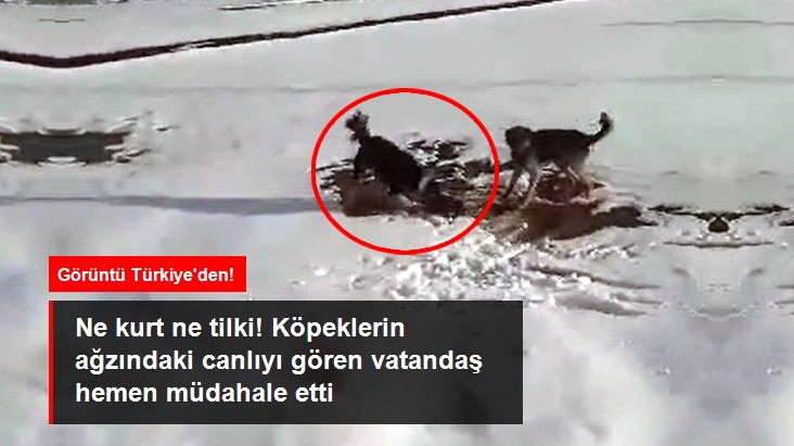 GÖRÜNTÜ HANAK'TAN