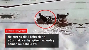 GÖRÜNTÜ HANAK'TAN