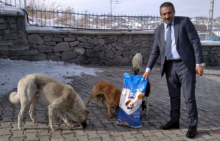 HAYVAN DOSTU BELEDİYE; KÖPRÜLÜ
