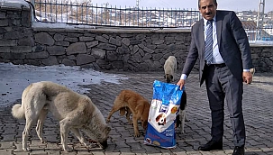 HAYVAN DOSTU BELEDİYE; KÖPRÜLÜ