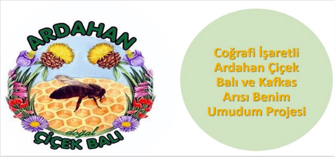 ÇİÇEK BALI VE KAFKAS ARISI PROJESİ KABUL EDİLDİ