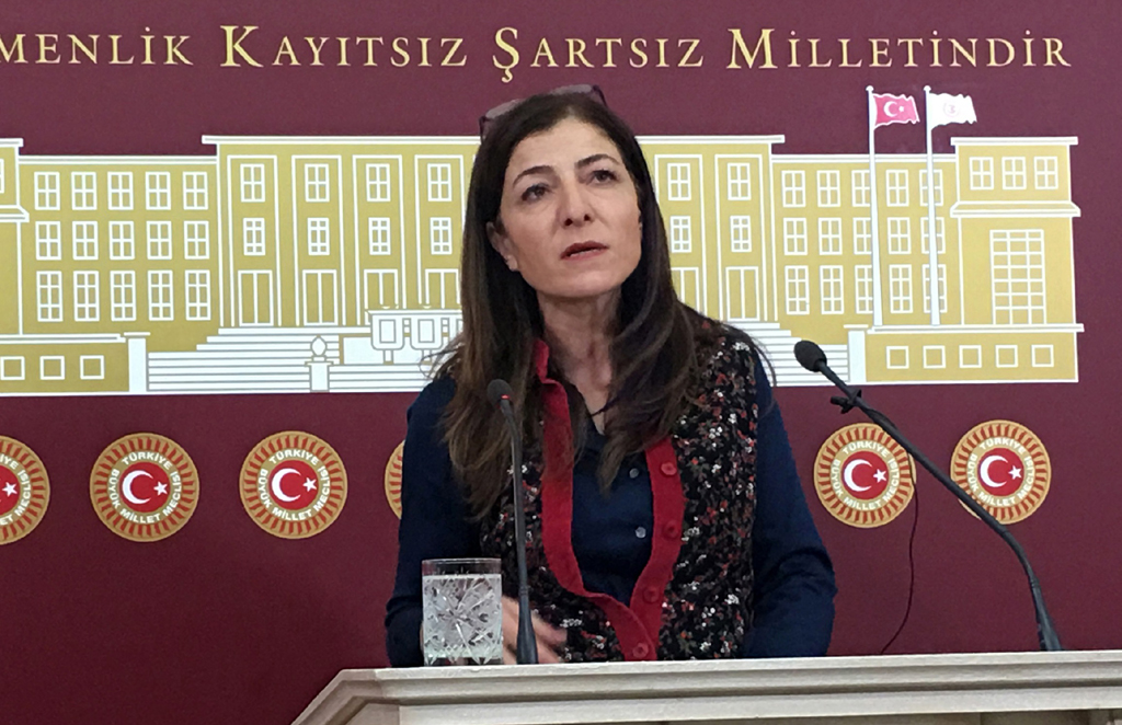 SENEMOĞLU KÖYÜ İÇİN SORU ÖNERGESİ VERİLDİ