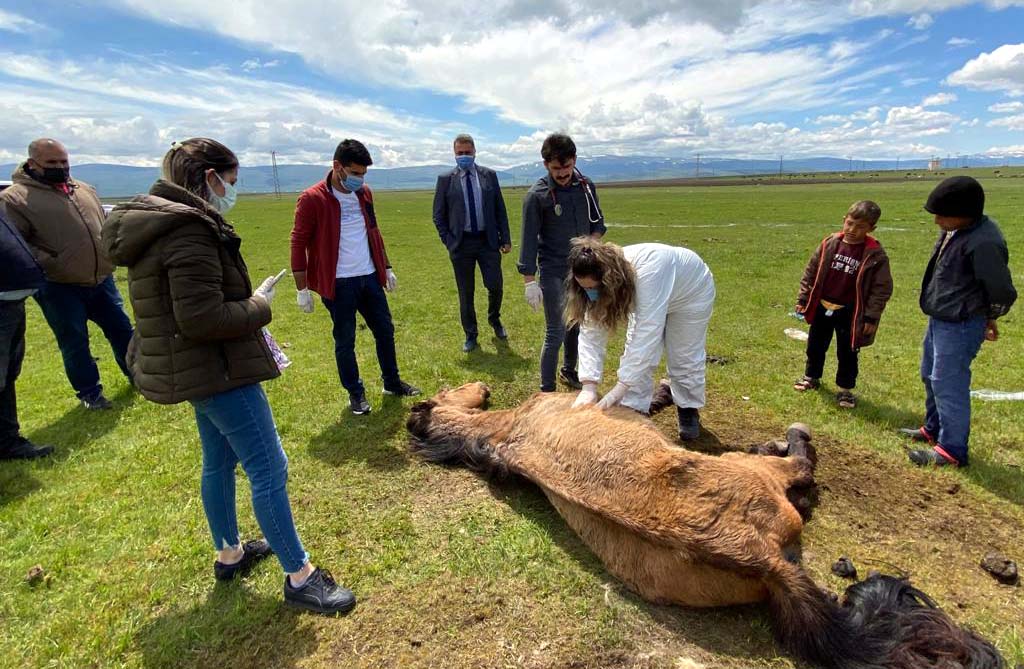 İNSANLIK ARDAHAN’DA