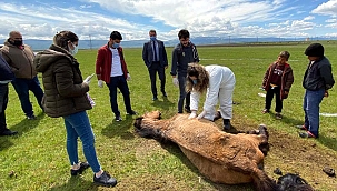 İNSANLIK ARDAHAN’DA