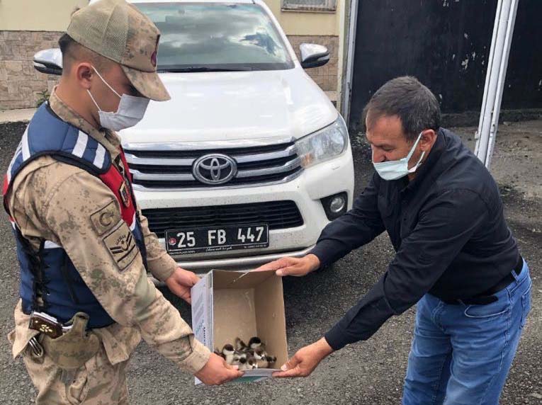 'ANGUTÇU' YAKAYI ELE VERDİ!
