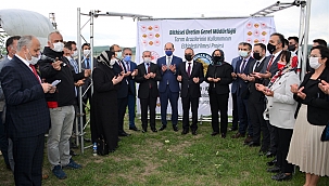 UNO GARANTİLİ KAVILCA BUĞDAY EKİMİ