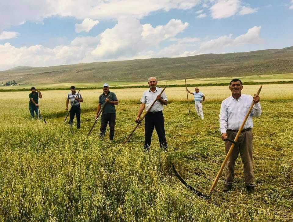 ARDAHAN’DA KURAKLIK, ÇİFTÇİYİ ESKİ ALETLERE YÖNLENDİRDİ